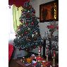 Fabiola Vidad's Christmas tree from Arica, Chile