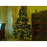 Weihnachtsbaum von Diana Parres Gonzalez (Alicante, España)
