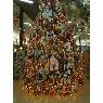 Andrea Oviedo's Christmas tree from San Jose, Costa Rica