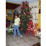 Weihnachtsbaum von Familia Gutierrez Zarraga (Maracaibo, Venezuela)