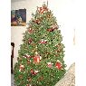Arturo Galván (bomberos)'s Christmas tree from Puebla, México