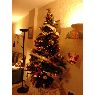 Weihnachtsbaum von Marcela Moreira Aragon (Malaga, España)