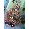 Mireya Oropeza's Christmas tree from Caracas, Venezuela