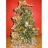 Iglesias Family's Christmas tree from Tampa, Florida, USA