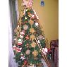 FAMILIA RODRIGUEZ AGUDELO's Christmas tree from BOGOTA COLOMBIA