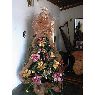 Weihnachtsbaum von Luz Elena Pirela Mejías (Onoto, Anzoátegui, Venezuela)