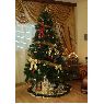 Haykuhi Armenia's Christmas tree from valencia/gandia