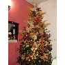 Rosita Medina's Christmas tree from San Cristobal, Venezuela
