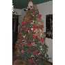 Maraix Castellanos's Christmas tree from Venezuela