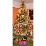 Flor Perez's Christmas tree from Caracas, Venezuela
