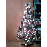 Elena's Christmas tree from México