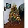 Weihnachtsbaum von Luisa Graterol (Yaracuy, Venezuela)