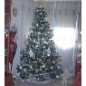 Sara Berta Diaz Nagel's Christmas tree from España