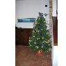 Árbol de Navidad de Eleonora Bocchi (Mantova, Italia)