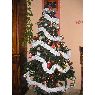 Cris's Christmas tree from Zaragoza, España
