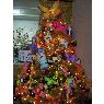 Weihnachtsbaum von Familia Negrette Gutierrez (Maracaibo, Venezuela)