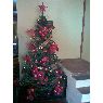 Jennifer Castañeda's Christmas tree from Sucre, Venezuela