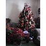 Árbol de Navidad de Alejandra Arce Bernal (México D.F.)