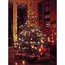 Herbert Reimann's Christmas tree from Kiel, Deutschland