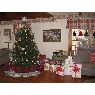 Árbol de Navidad de Jane (Bridgewater, MA, USA)