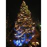 Árbol de Navidad de Lignat (Abzac, France)