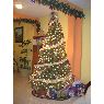 Giovanni Ramirez Leyva's Christmas tree from Chilpo Guerrero, México