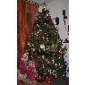 Weihnachtsbaum von Cosse (Colmar, France)