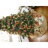 Paula Santillana's Christmas tree from Madrid, España