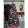 Edgar Renteria's Christmas tree from Chihuahua, Mexico
