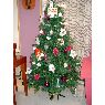 Weihnachtsbaum von Ana Mª Romero (Cadiz, ESPAÑA)