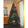 Weihnachtsbaum von Karmele Herranz (Valencia, España)