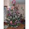 Susanne Alrutz's Christmas tree from Dassel