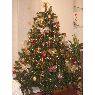 Beatriz Garcia's Christmas tree from Madrid, España