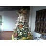 Yosmar González's Christmas tree from El Tigre, Venezuela
