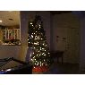 Dominic Hutton's Christmas tree from Las Vegas, Nevada