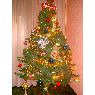 Jesus's Christmas tree from Ontinyent, España