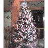 DOLORES ANGULO FLORES's Christmas tree from MEXICO
