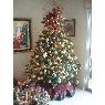 Aura Polanco's Christmas tree from Santo Domingo, Republica Dominicana