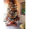 Patrcia Zapata's Christmas tree from Cali, Colombia