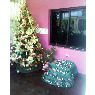 Milagros Millan's Christmas tree from Puerto Cabello, Venezuela