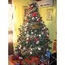 Jose Gregori Lurbe's Christmas tree from Valencia, España