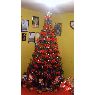 Rafael Vega Heraldo's Christmas tree from Iquique, Chile