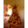 Sayred Colina's Christmas tree from Barinas, Venezuela