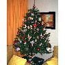 Concha's Christmas tree from Madrid, España