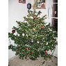 Montse's Christmas tree from Barcelona, España