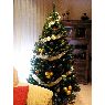 Miguel Torres Olmos's Christmas tree from SAN PEDRO DEL PINATAR , MURCIA, ESPAÑA
