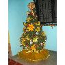 Weihnachtsbaum von Yurlis Velazquez Toro (Los Posones,Barinas,VENEZUELA)