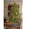 FAMILIA VILLAGRAN's Christmas tree from CHILE