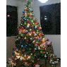 Ywanoska Loengri's Christmas tree from Colinas del Neveri, Barcelona, Venezuela