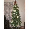 DWanda Marks's Christmas tree from Texas